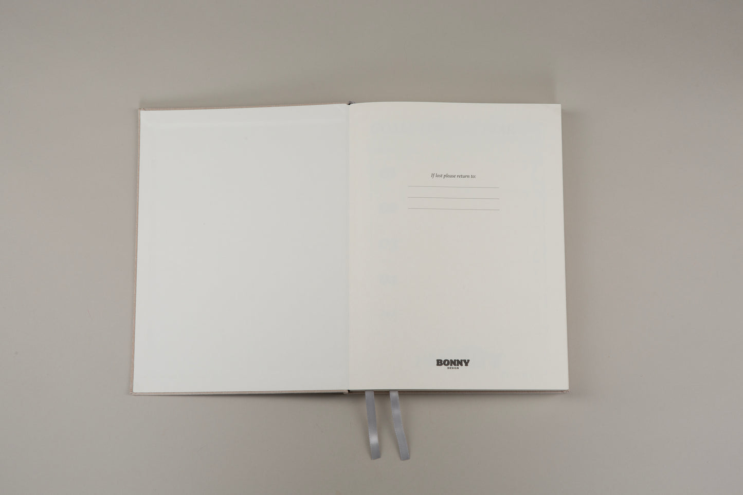 SKY UNDATED DIARY