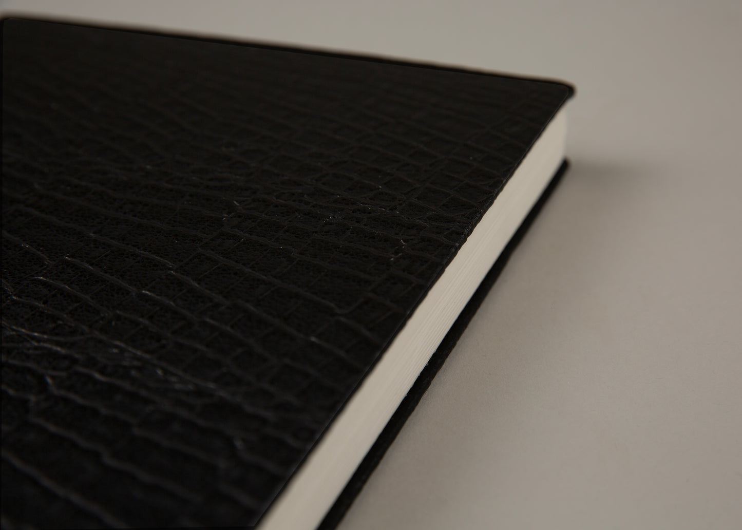 HANA UNDATED DIARY